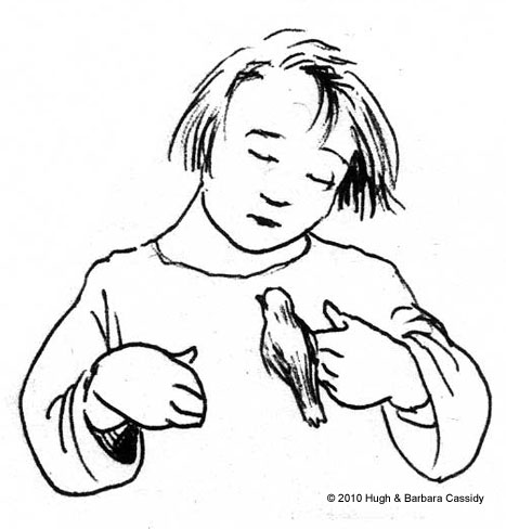 little girl with bird sitting on her finger