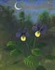 Moonlit Pansies